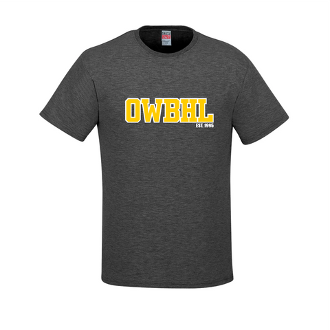 OWBHL Adult Youth Cotton T Shirt