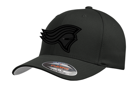 Knights Flex fit Hat